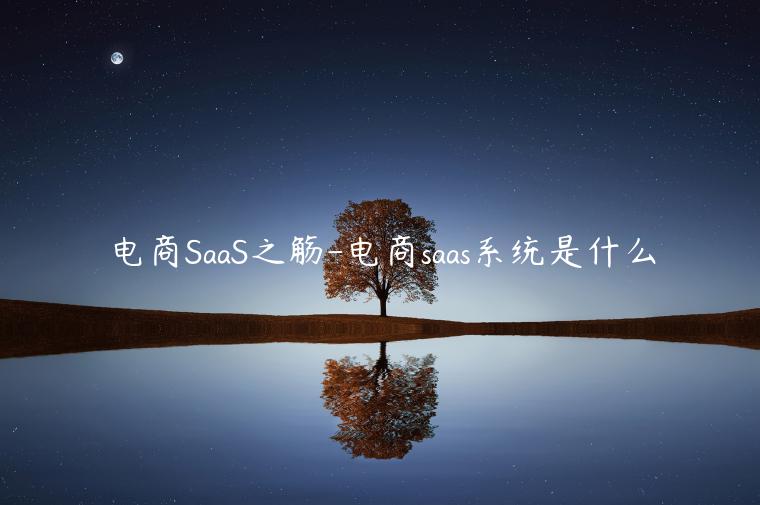 電商SaaS之觴-電商saas系統(tǒng)是什么